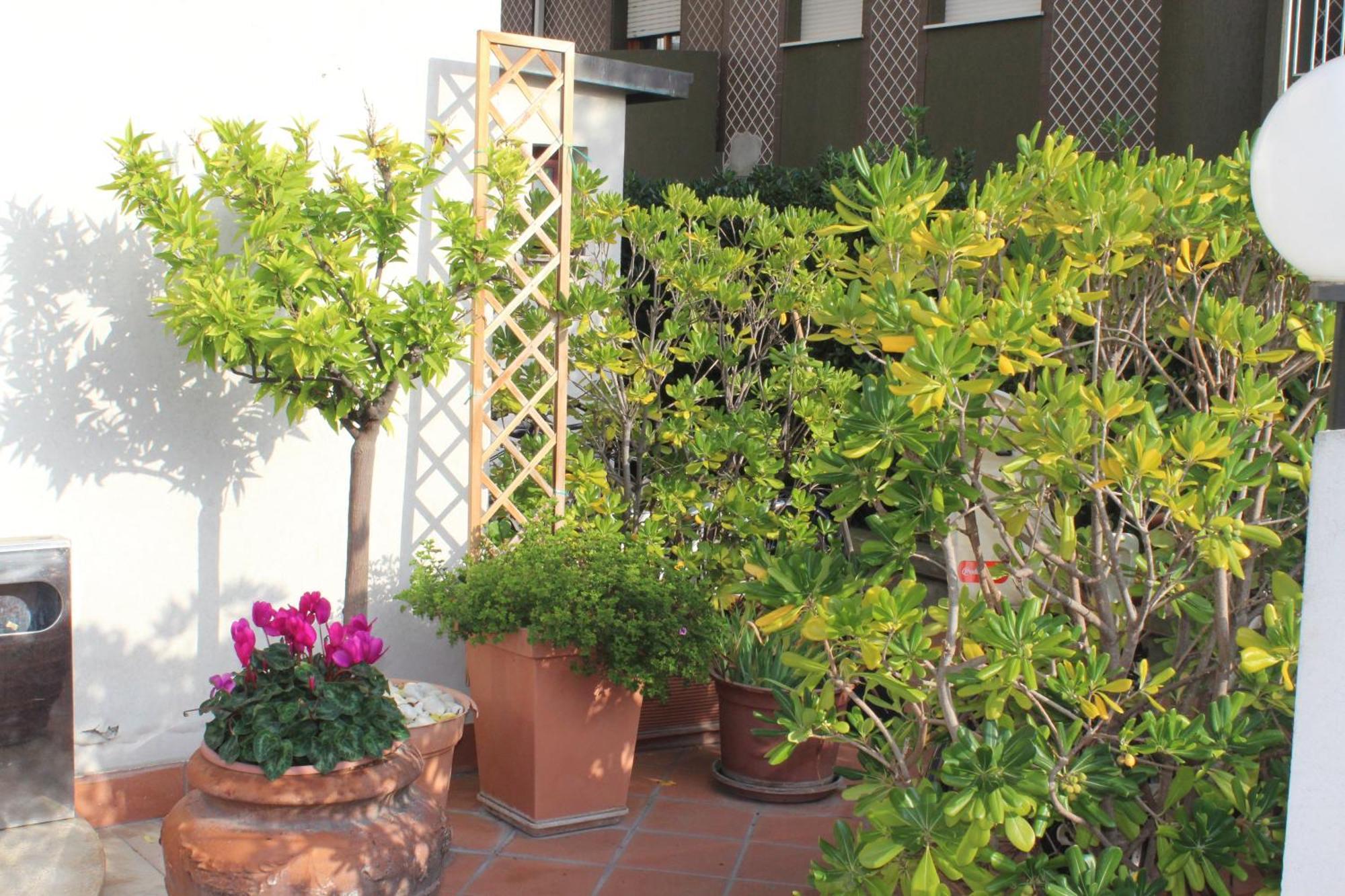 Hotel Arcangelo Rimini Eksteriør bilde